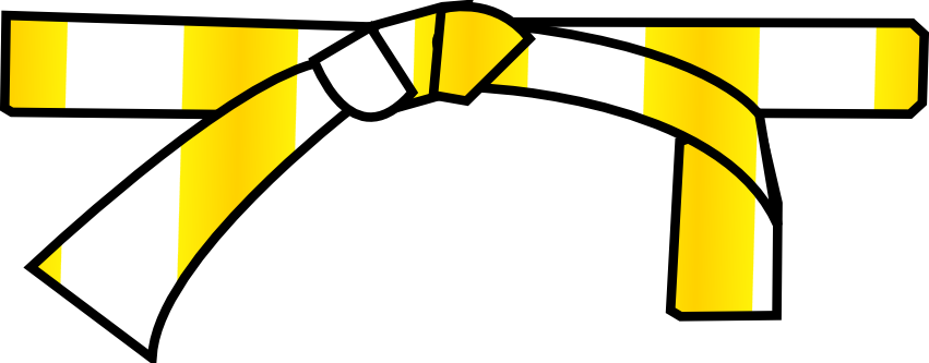 Ceinture Blanche Judo Enfant Ceinture De Taekwondo Andux - 260 Cm X 4